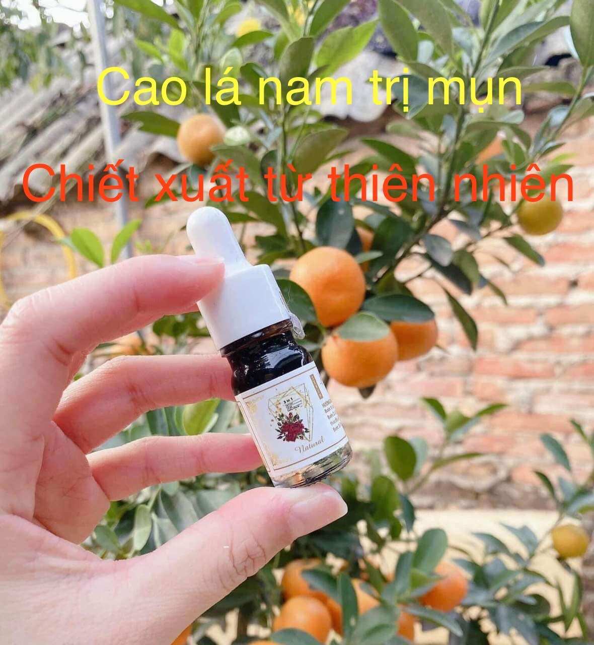 Cao lá nam cô đặc loại bỏ tận gốc các loại mụn và thâm mụn