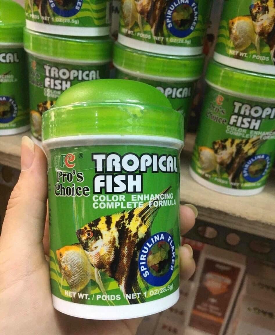 Thức ăn cho cá ông tiên thần tiên - tropical fish