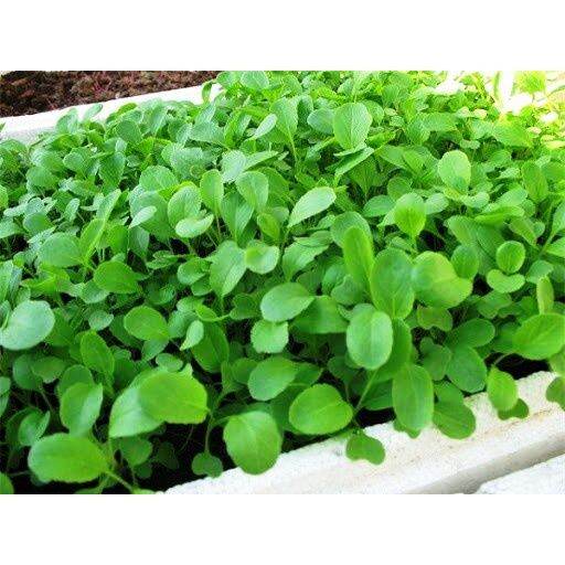 1kg Phân Bón Supe Lân - Phân Lân ( Lân Lâm Thao) Đóng rời