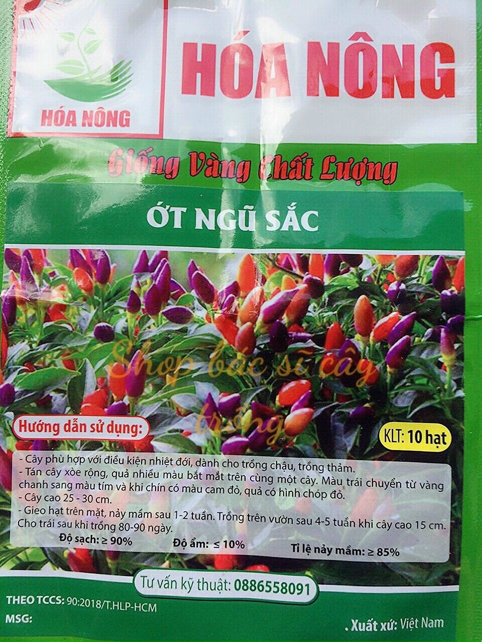 10 hạt giống ớt ngũ sắc trái nhiều