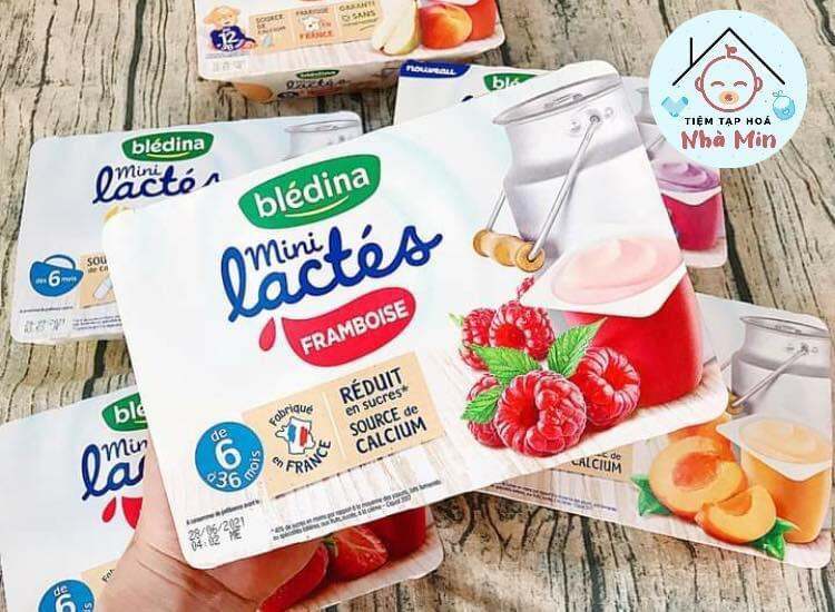 SỮA CHUA NGUỘI BLEDINA LACTÉS CHO BÉ TỪ 6M - VỊ CHUỐI/XOÀI/LÊ/DÂU/MÂM XÔI/TỰ NHIÊN