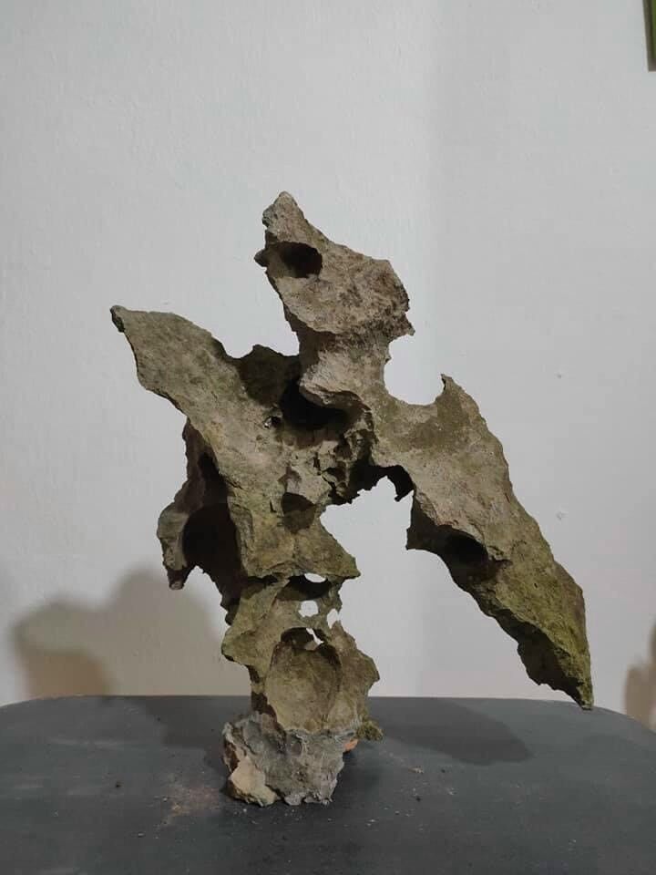 Đá núi tự nhiên bonsai để bàn