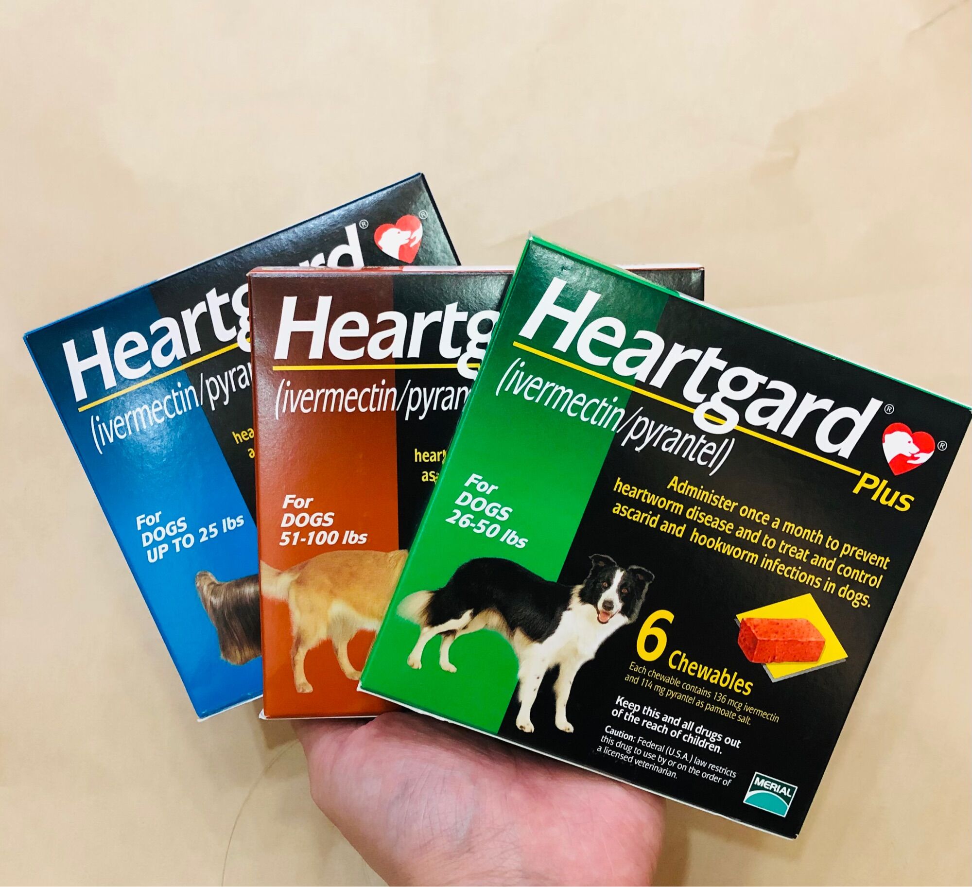 HEARTGARD SỔ GIUN CHÓ CÚN