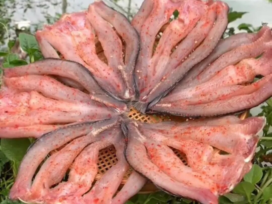 KHÔ CÁ LÓC 500gr loại 10_12c kg