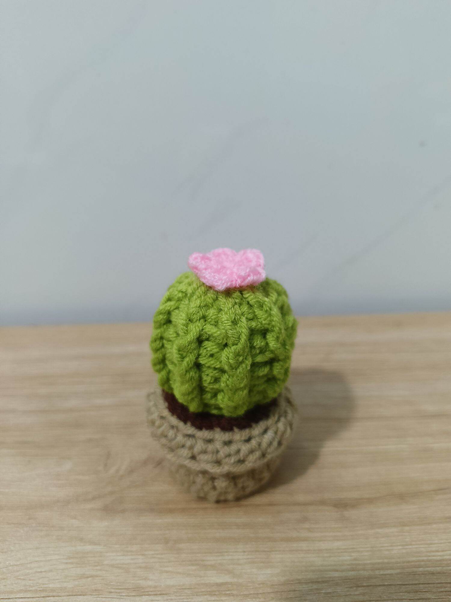 Chậu hoa mini xinh xắn