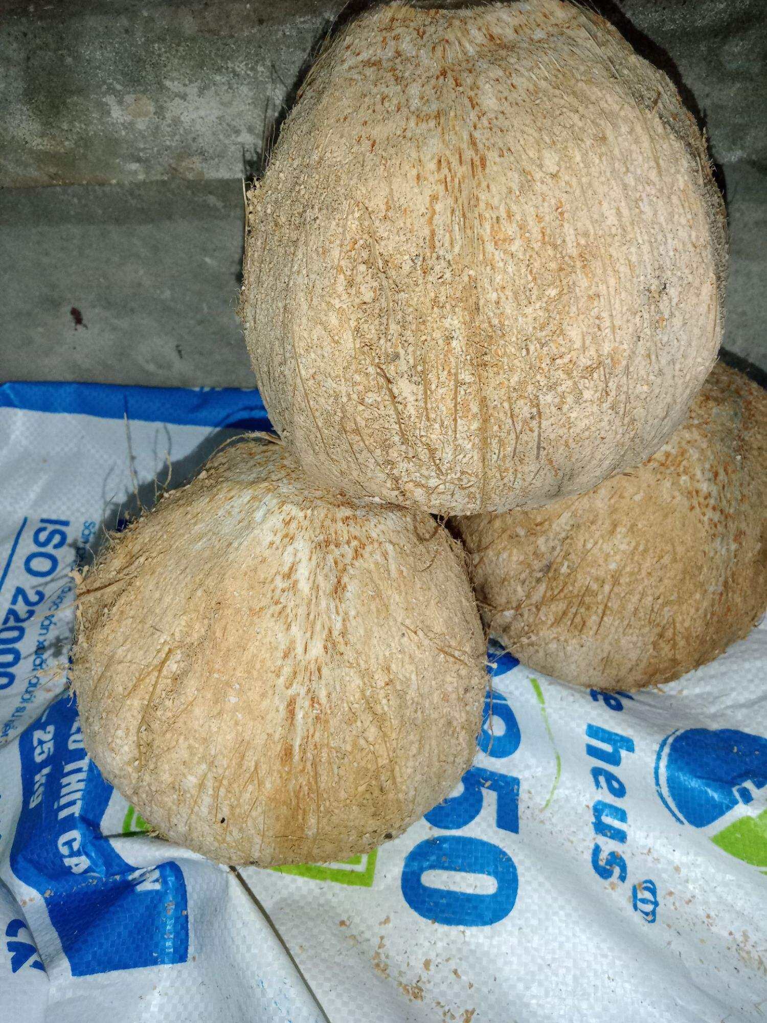 Dừa khô 1 trái trên 1kg