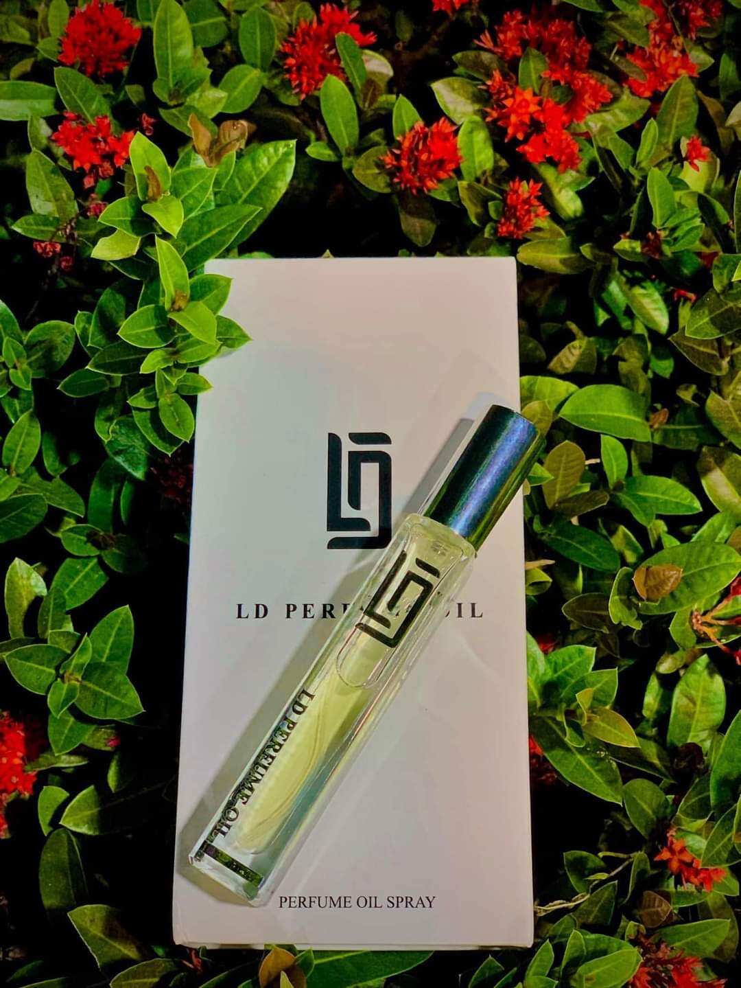 Tinh dầu nước hoa LD PERFUME OIL (Nam)- Rep.li.ca - mã 10