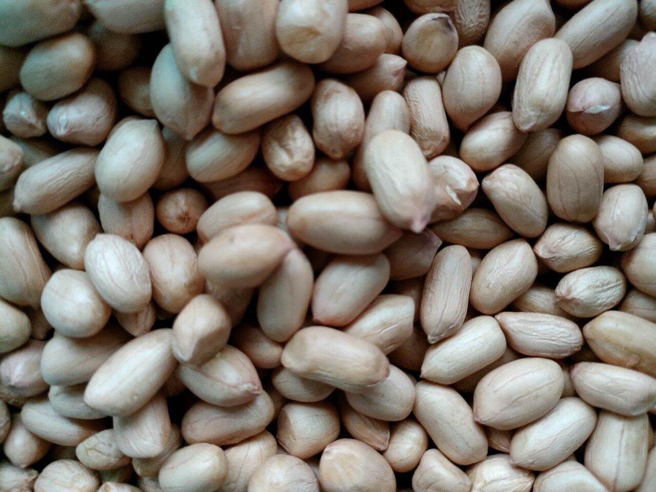 ĐẬU PHỘNG 1KG