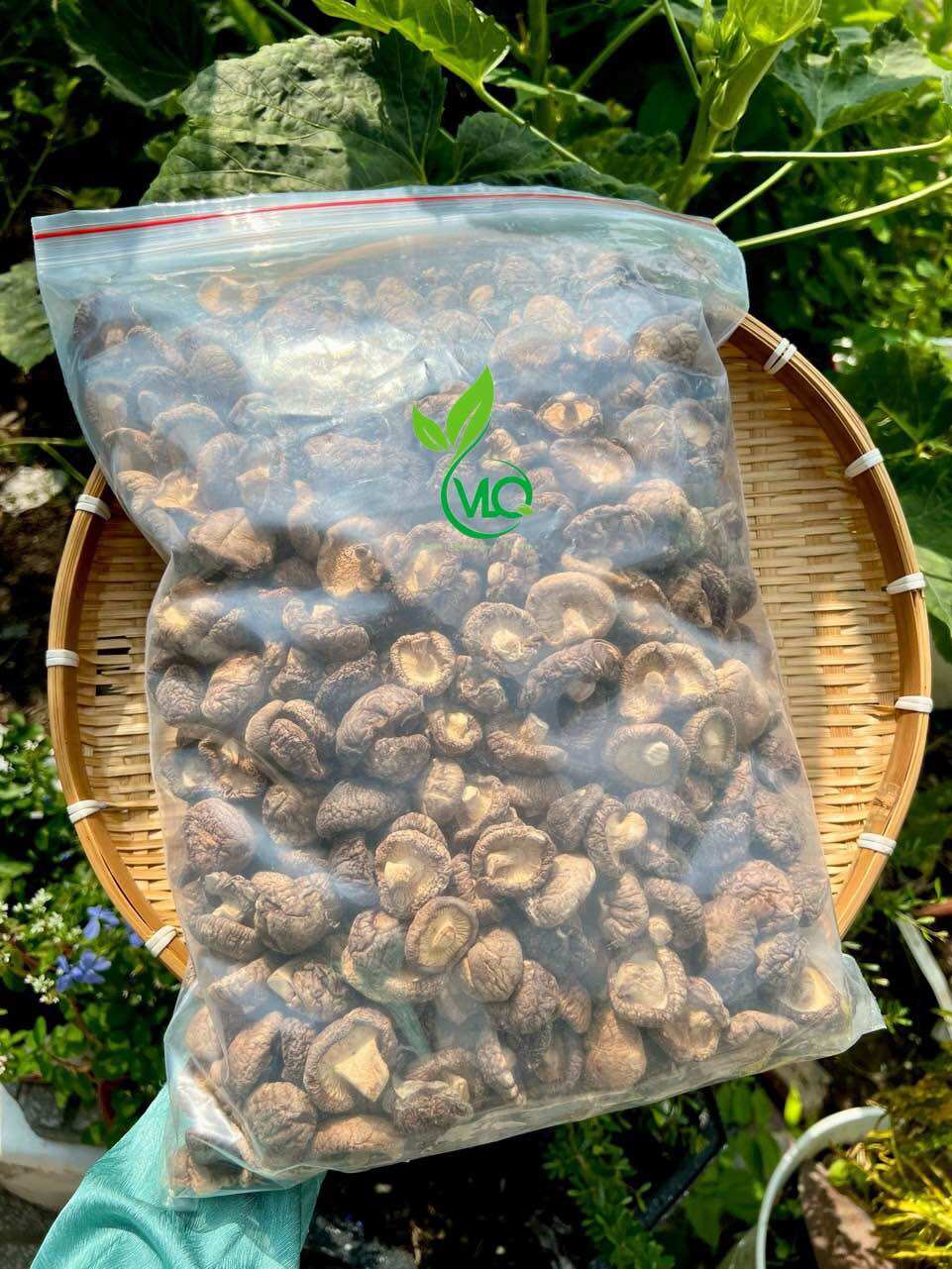 Nấm đông cô khô loại 1 đẹp/ Vô Lượng Quang