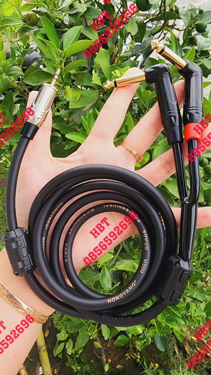 Dây tín hiệu jack 3.5mm ra 2 jack 6mm cong