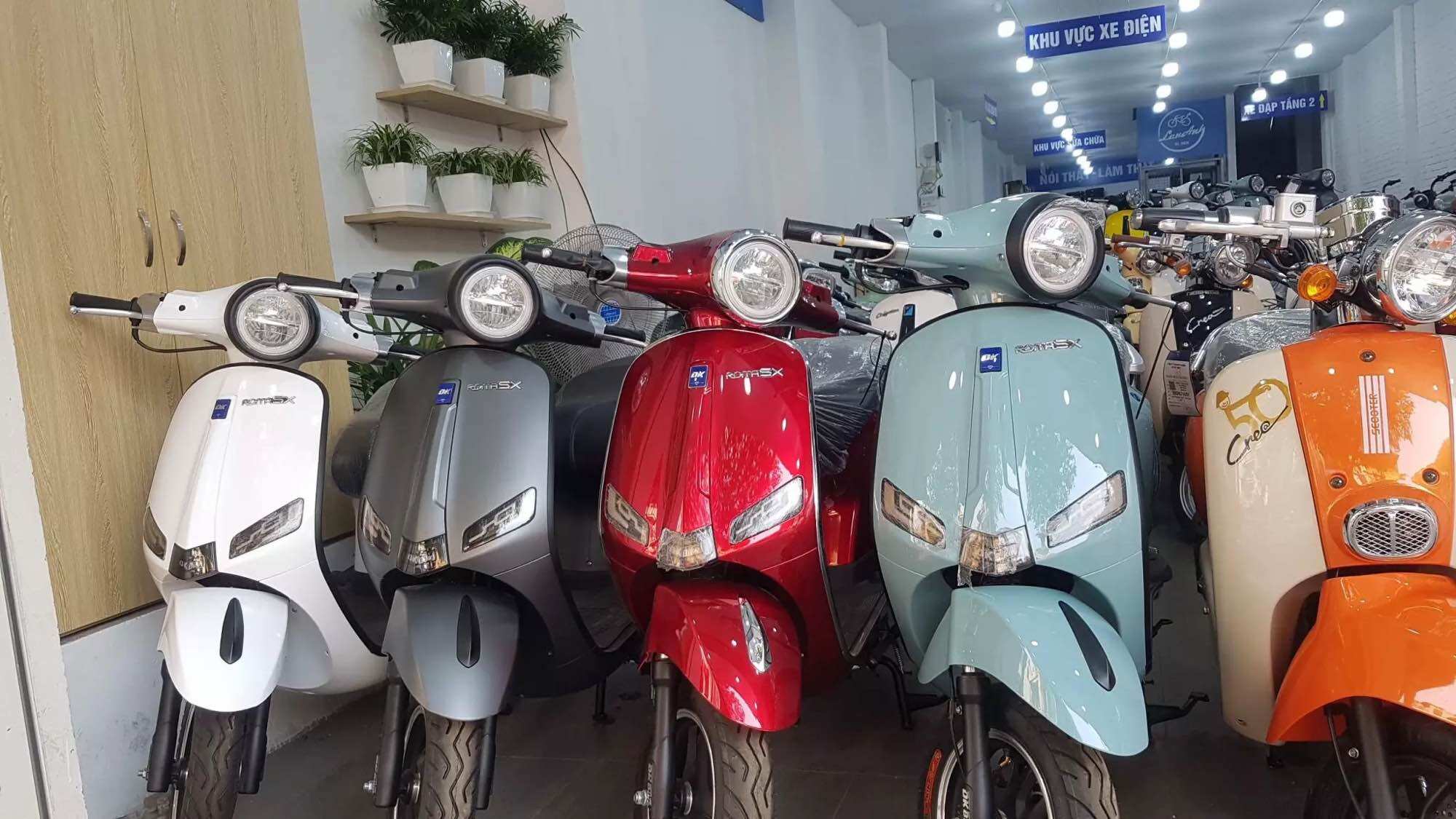 XE MÁY ĐIỆN DK ROMA SX