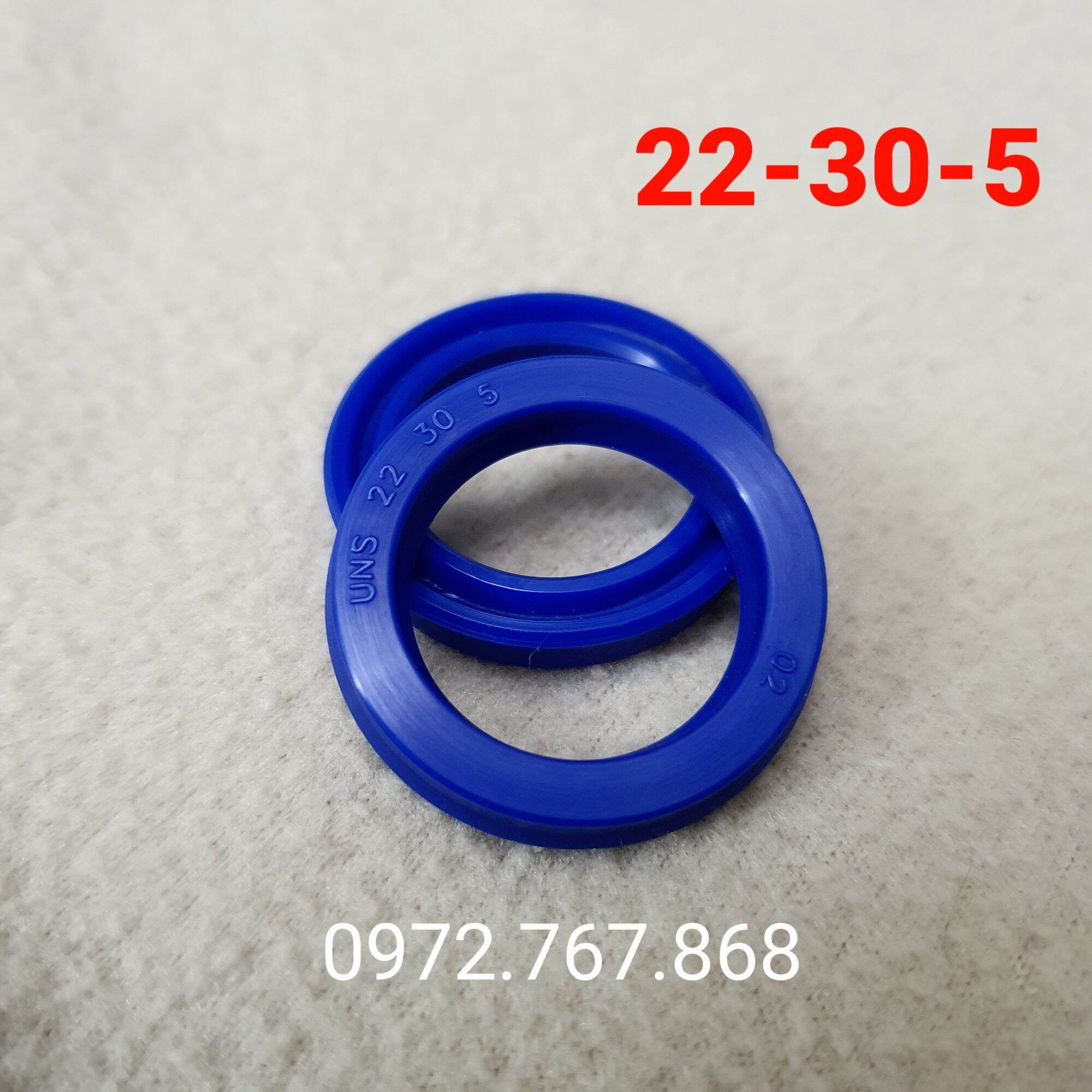 Phớt thủy lực 22-30-5