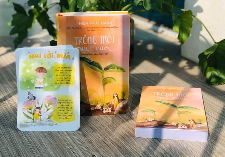 Sách Trồng một nụ cười - Thích Nhất Hạnh
