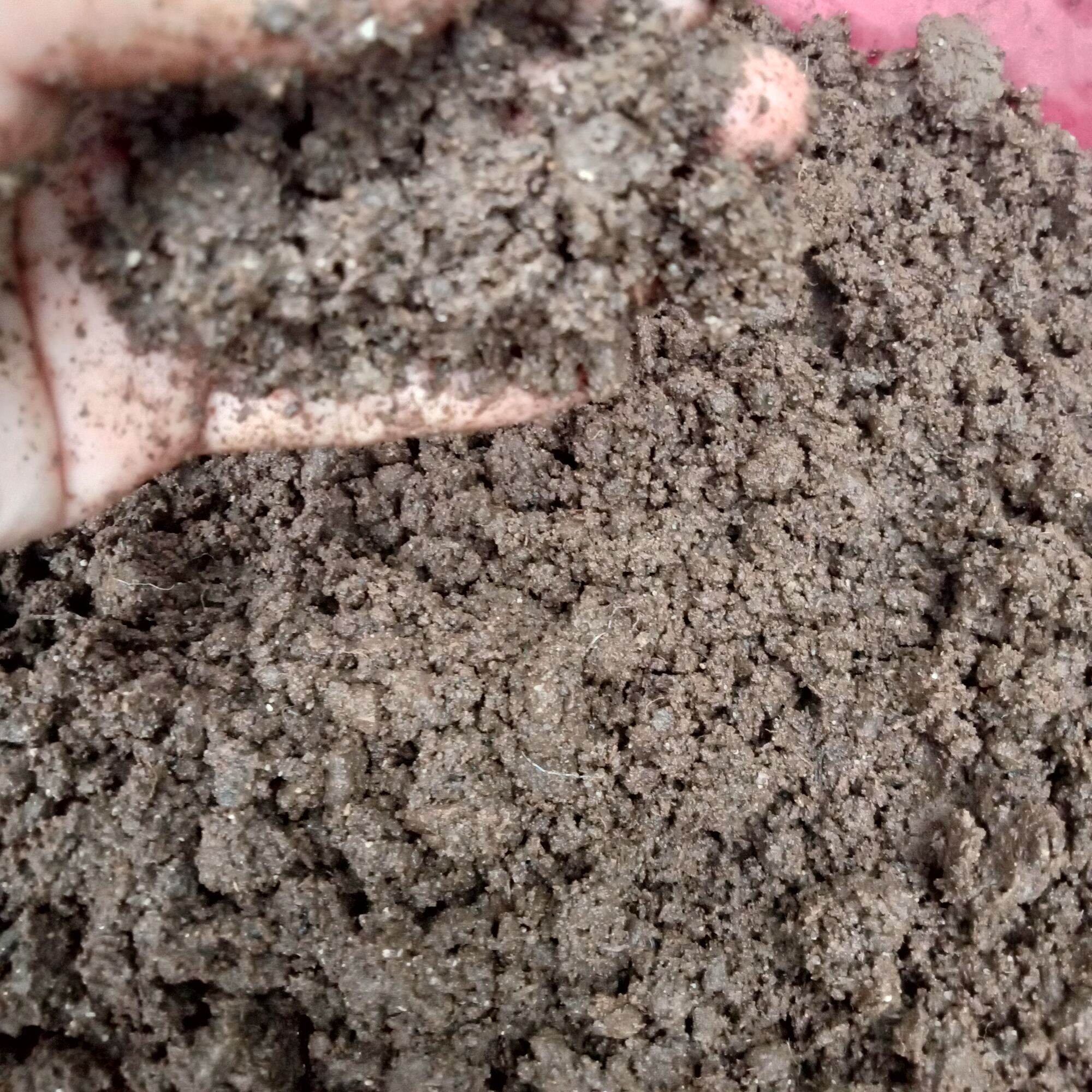 1 kg Phân vịt oai mục đã qua xử lí