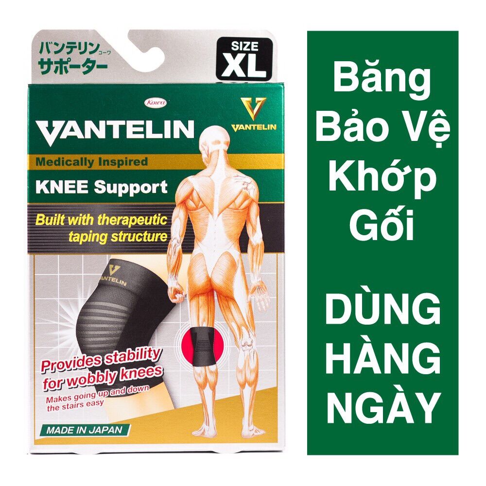 Vantelin knee