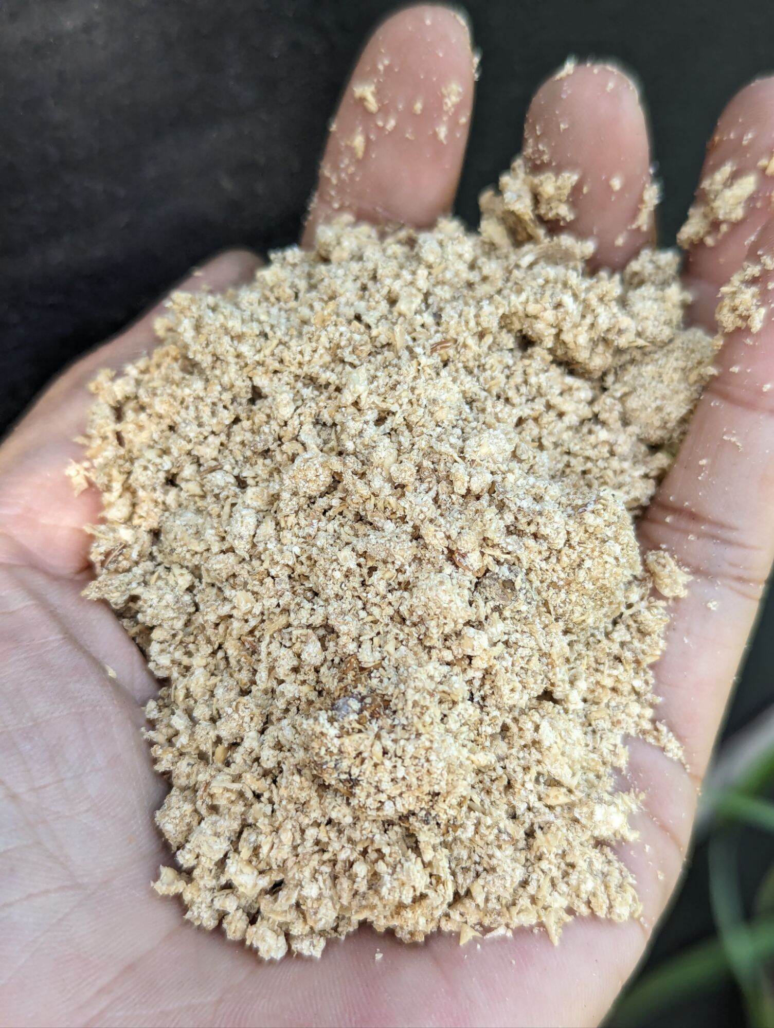 1kg Bã đậu nành khô dùng làm phân bón, ủ dịch Em, giúp rau xanh mướt