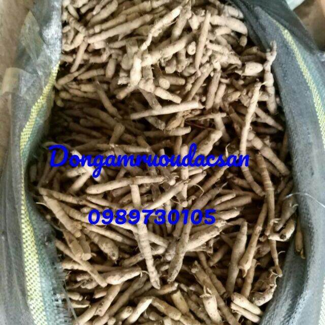 Sâm cau đen rừng 1KG