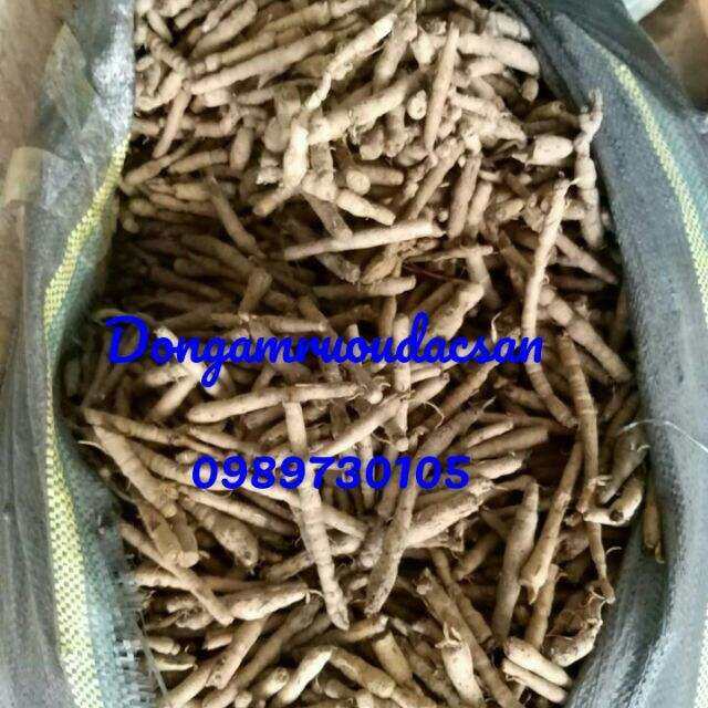 Sâm cau đen rừng (sâm tiên mao) 1KG