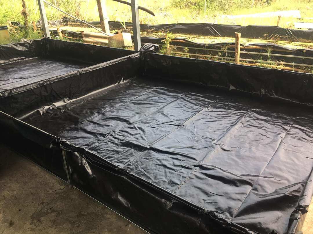 Bể bạt nuôi ốc ếch cá lươn 4x2x0,5 - loại HDPE