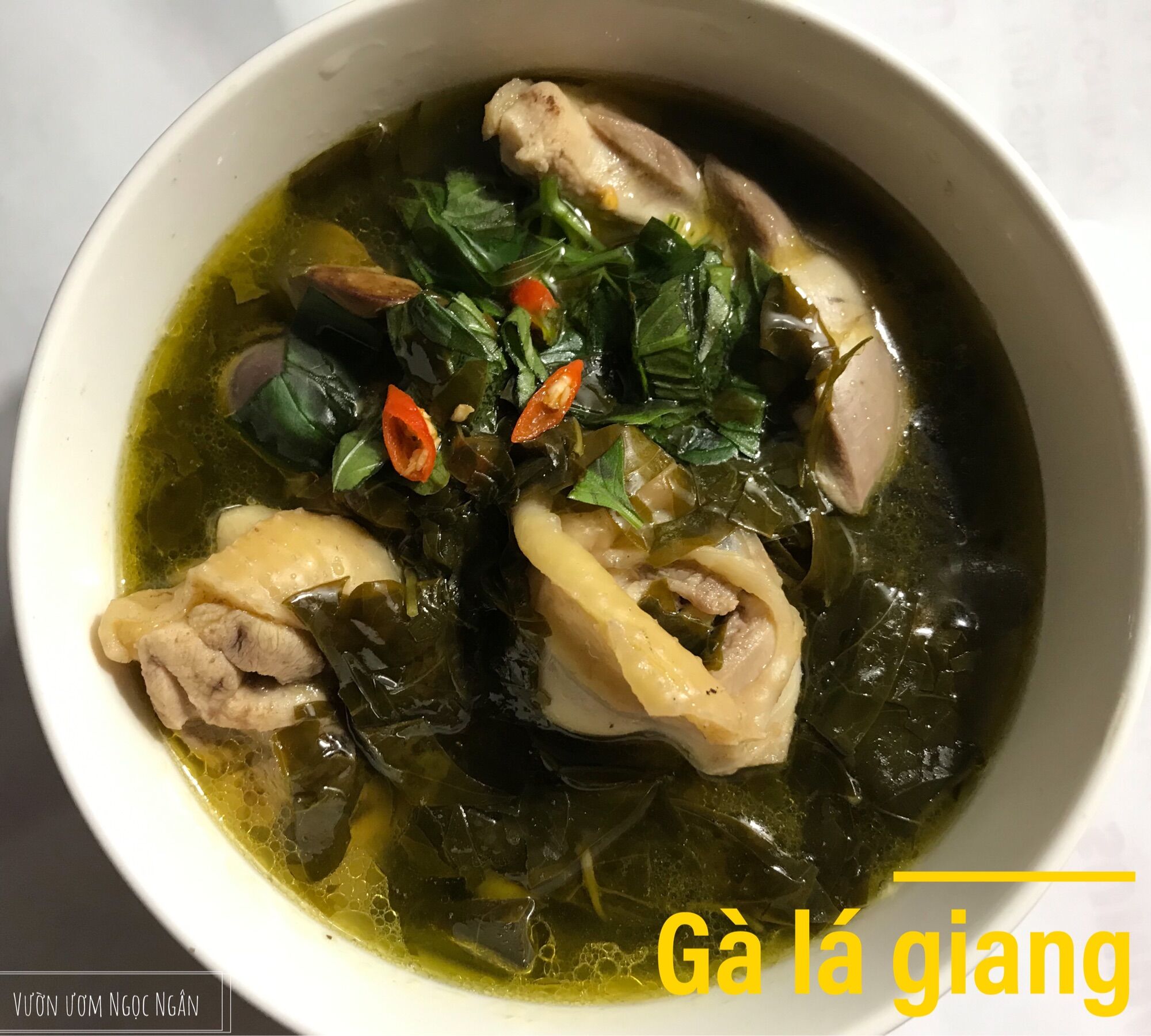 Cây giống lá giang