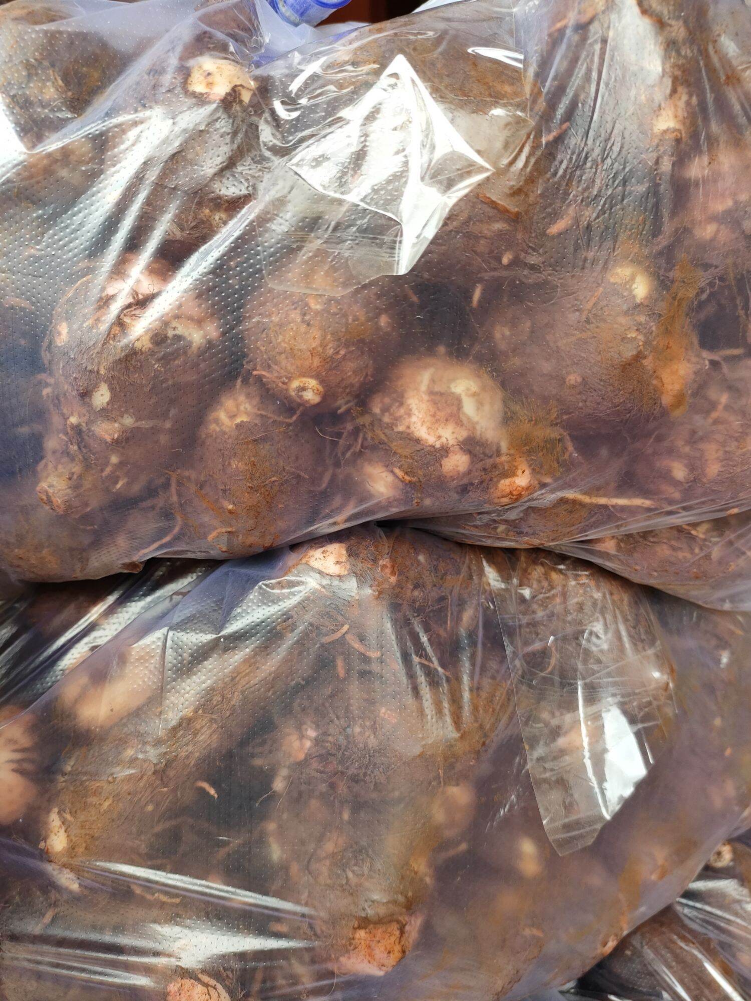 KHOI SỌ ĐĂKLĂK 2kg
