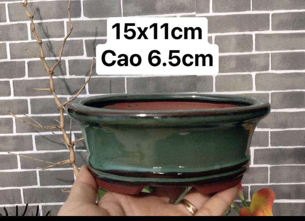 Chậu sứ trồng cây hình oval