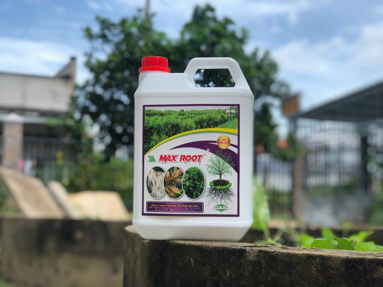 PHÂN BÓN MAX ROOT - CHUYÊN DƯỠNG RỄ, THÂN, LÁ. Can 5L