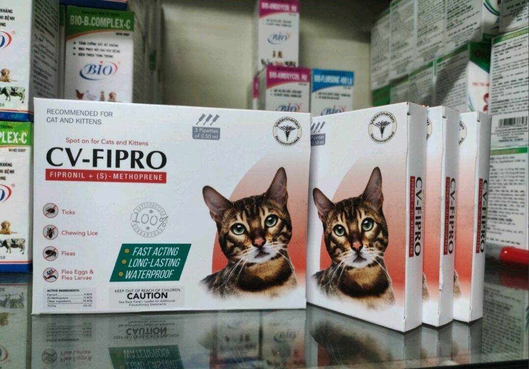 Cv-fipro nhỏ gáy ve rận bọ chét cho mèo