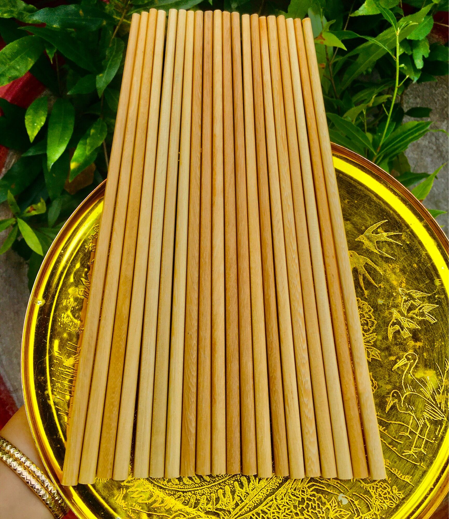 Đũa ổi rừng 10 đôi herbe nguyễn shop