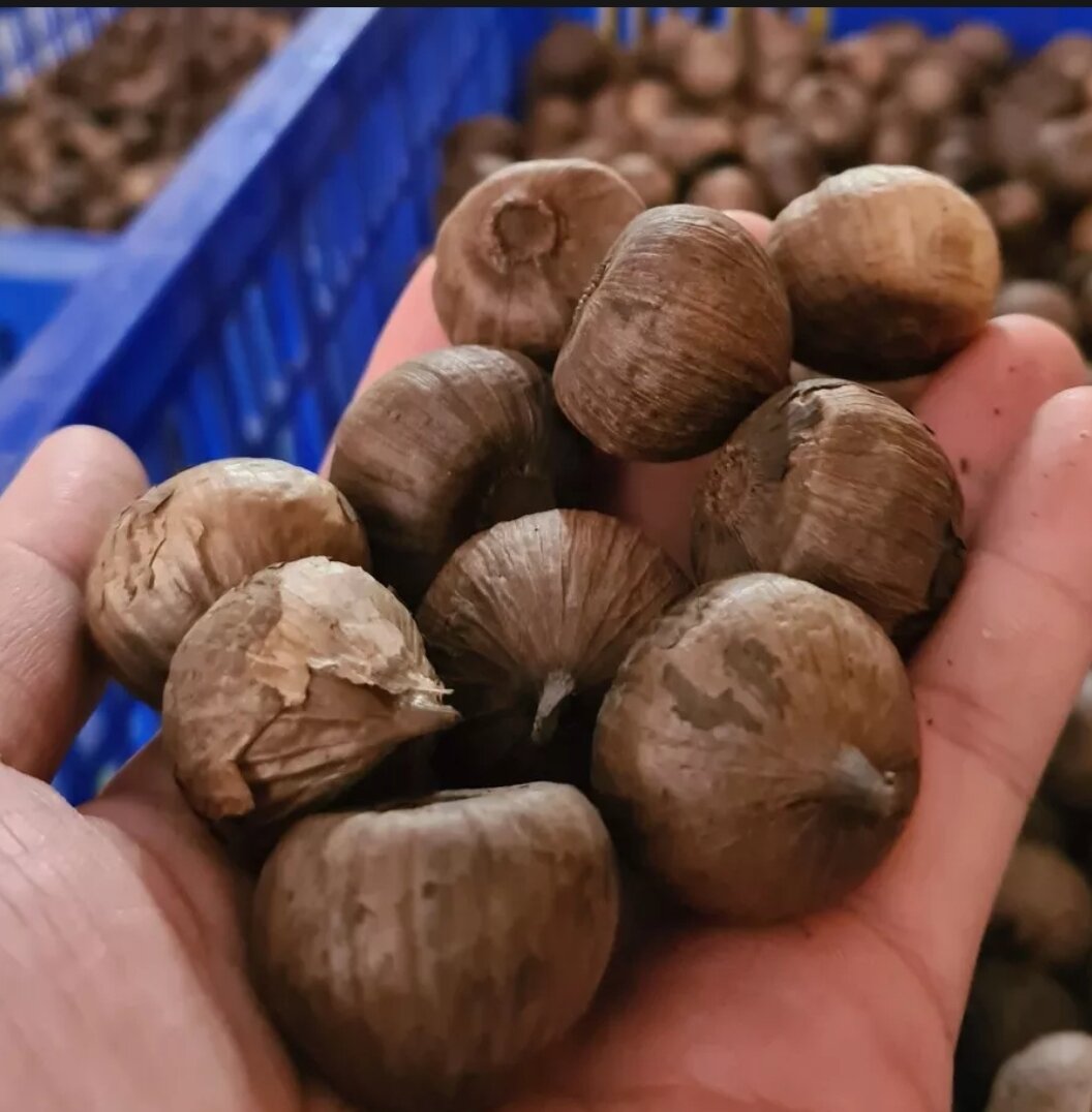 Tỏi đen cô đơn 500g