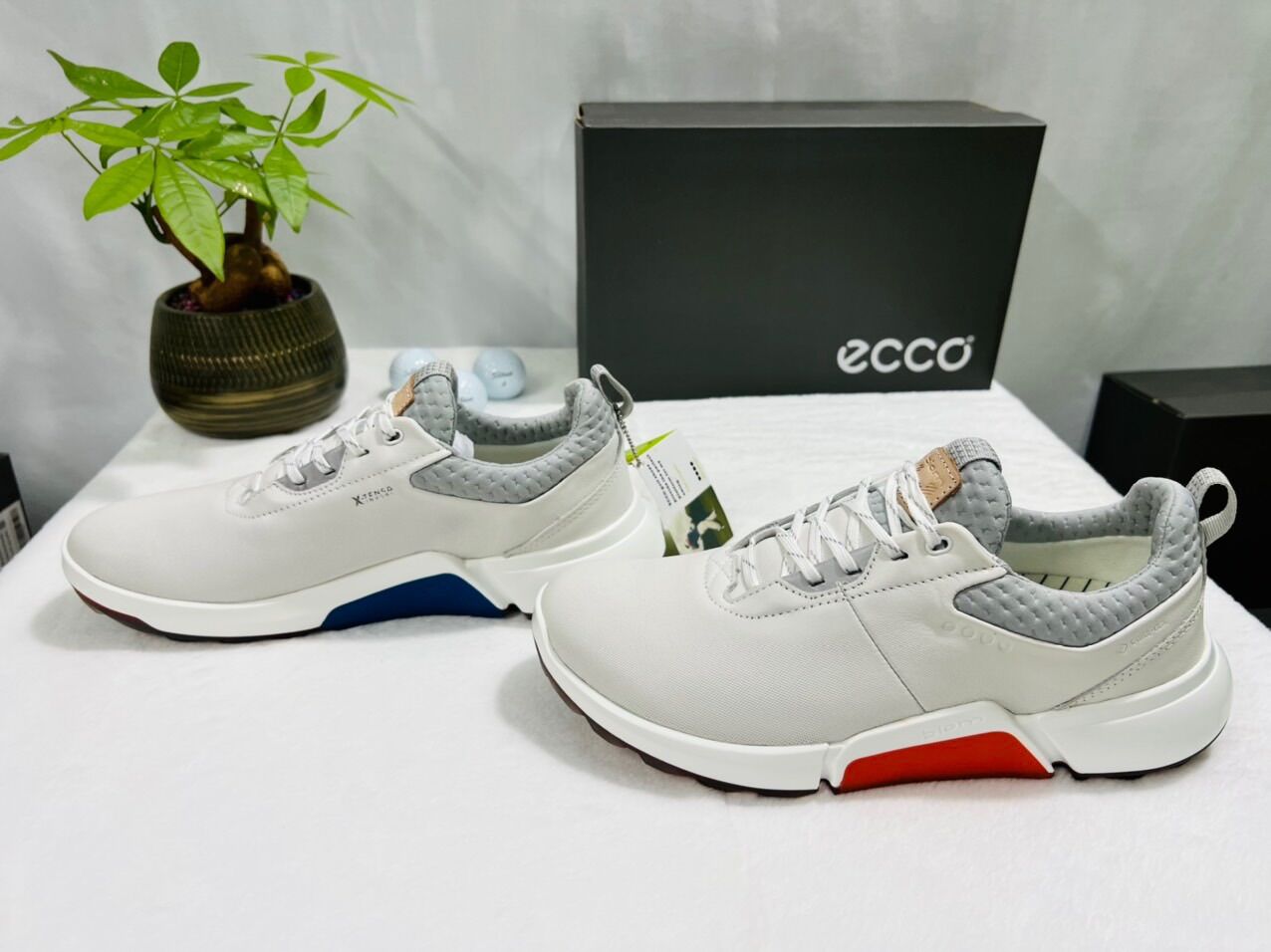 Giày golf nam Ecco thể thao êm chân dây buộc mẫu mới