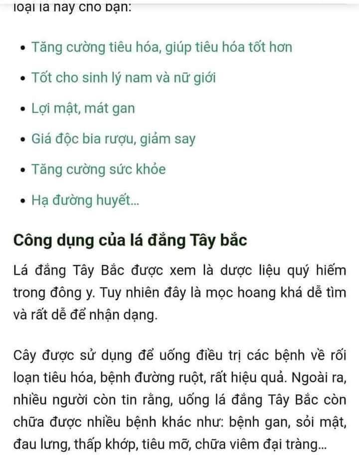 1kg cây cơm kìa  (lá đắng)