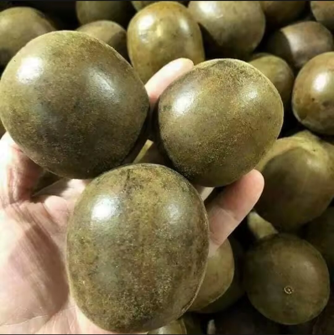 500G QUẢ LA HÁN TO ĐẠI KHOẢNG 40 -45 QUẢ/1 KG, TRÀ LA HÁN