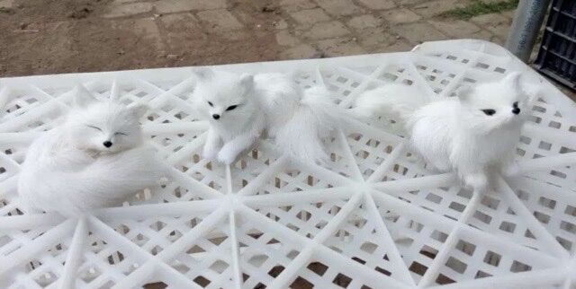 Gấu bông hồ ly cửu vỹ hồ
