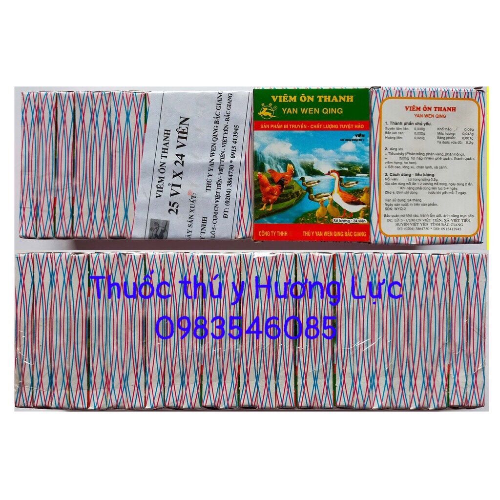 10 vỉ viên ôn thanh (24 viên 1 vỉ)