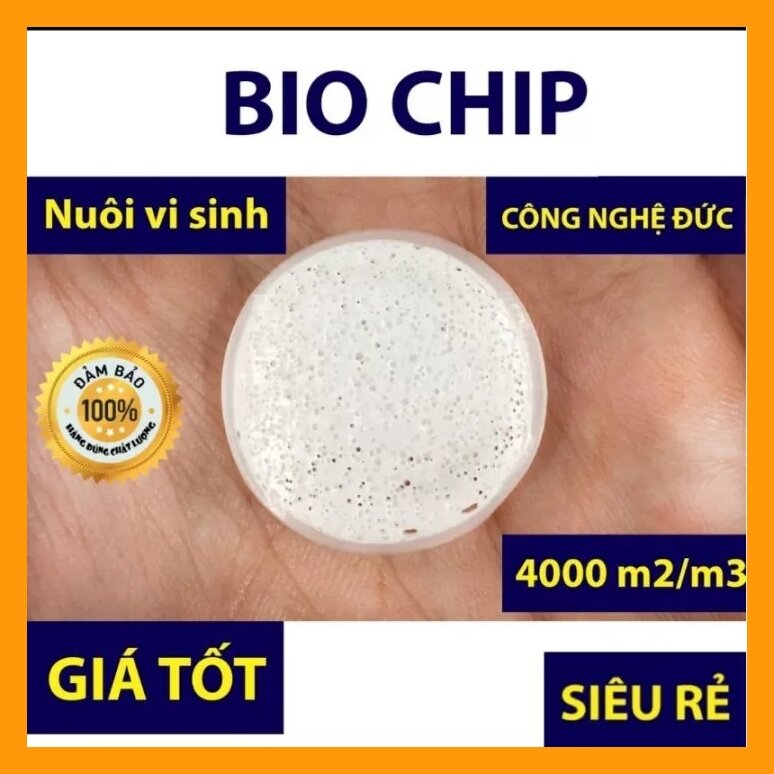 Bio chip 100g