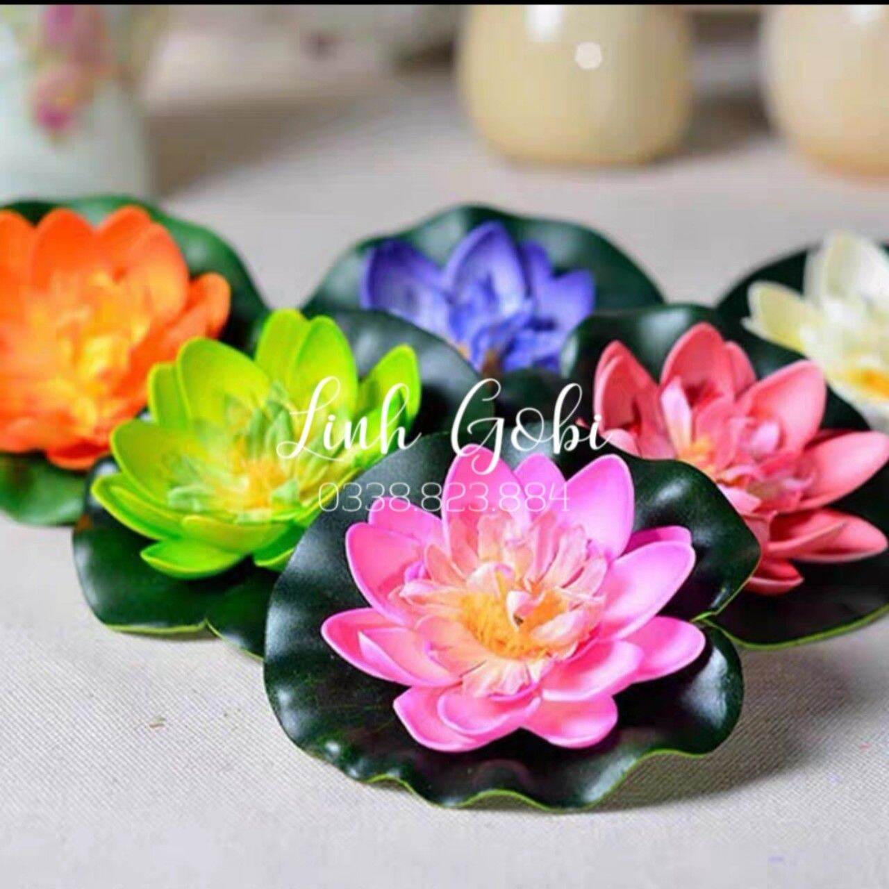 Hoa sen thả bể nước