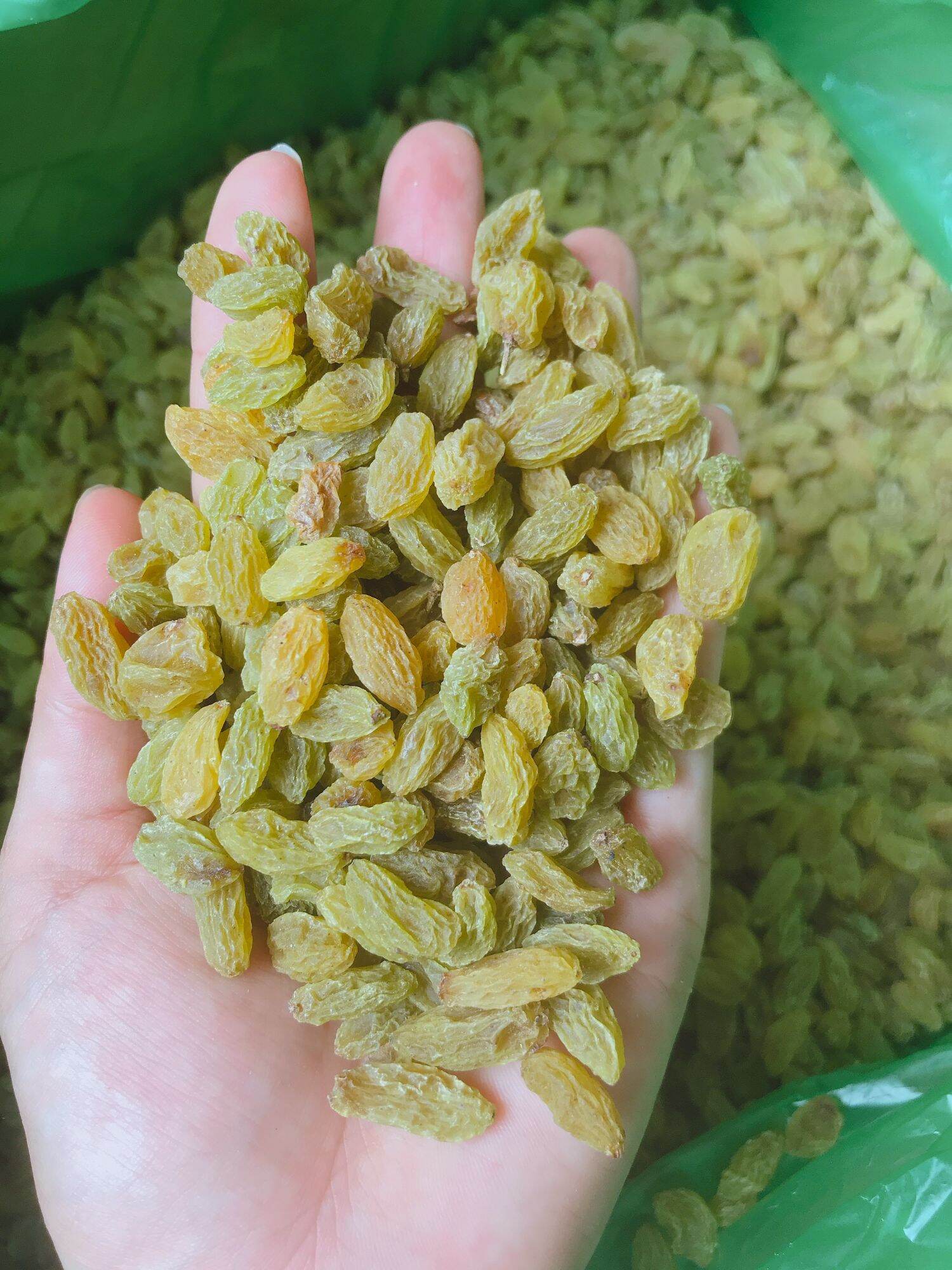 500gr nho khô xanh