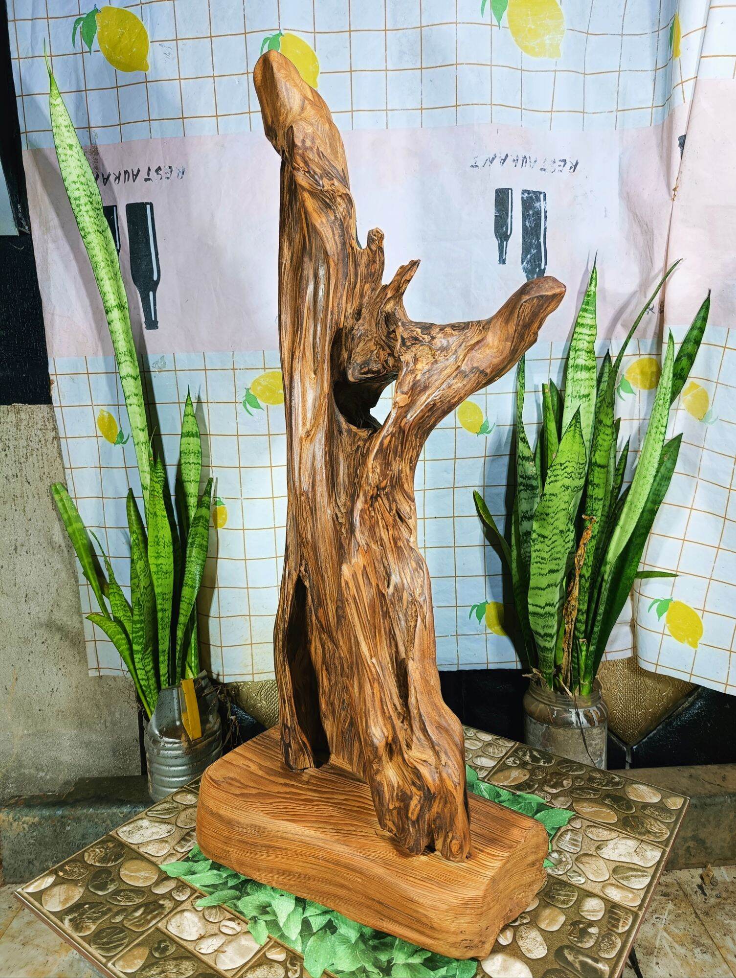lũa gỗ thơm ngọc am đỏ hà giang
