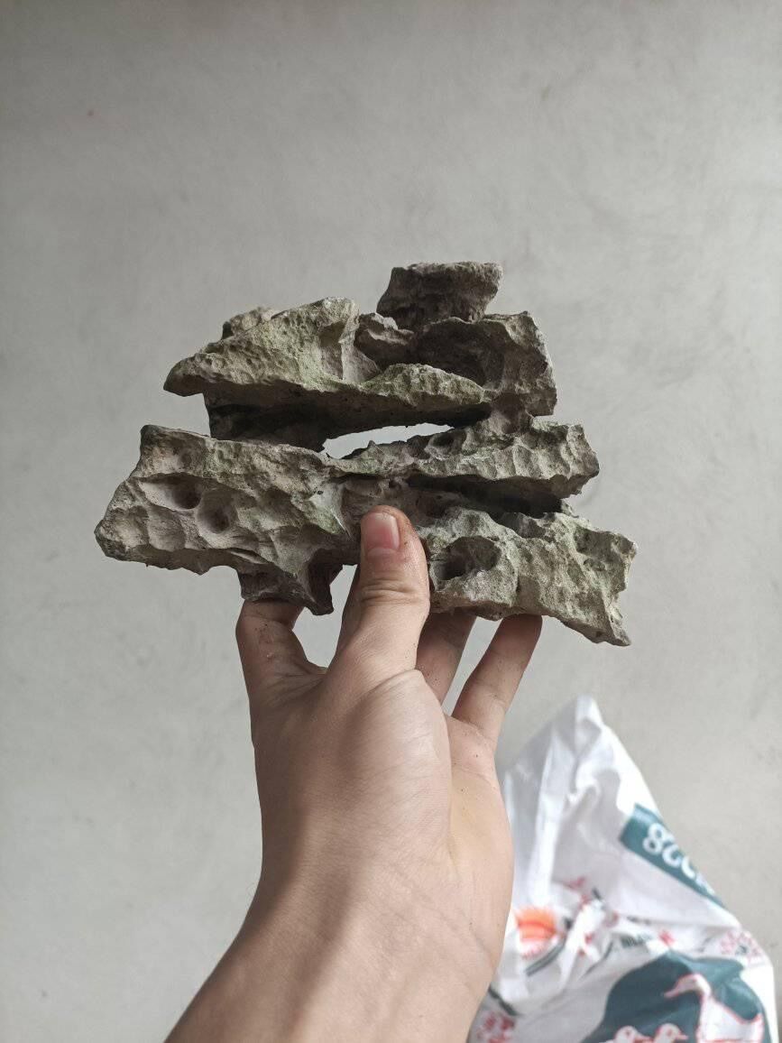 ĐÁ ghép cây bonsai mini.trang trí bể cá cảnh