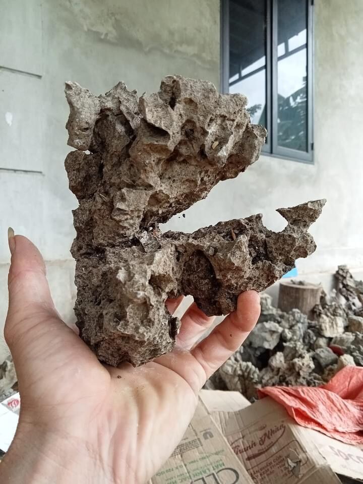 Đá tai mèo,đá lụa kí cây bonsai