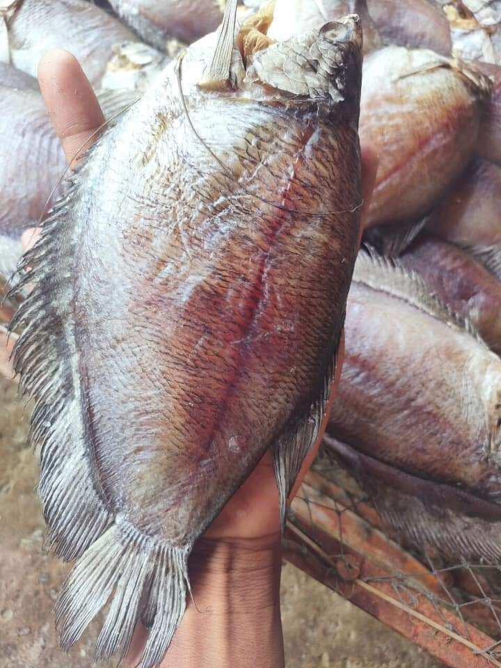 Bổi 10c/1kg/280k vị lạt