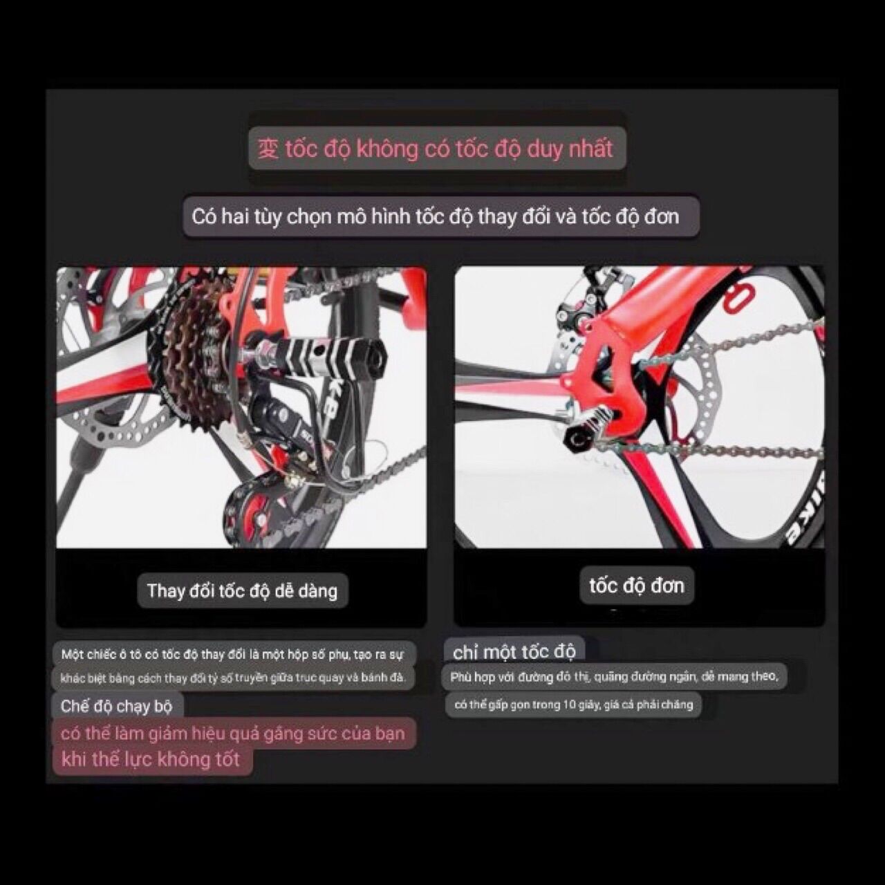 Xe Đạp Gấp 20 icnh Phoenix- Xe Đạp Số Siêu Nhẹ