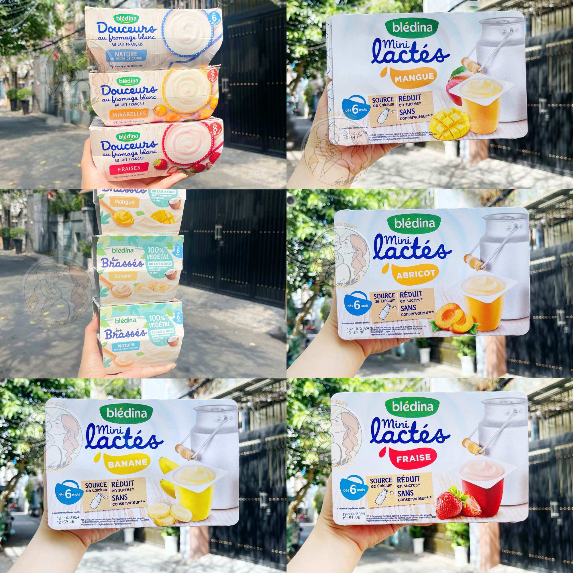 Date t11/24-25 sữa chua bledina nestle vỉ 6 hộp của pháp cho bé từ 6m+