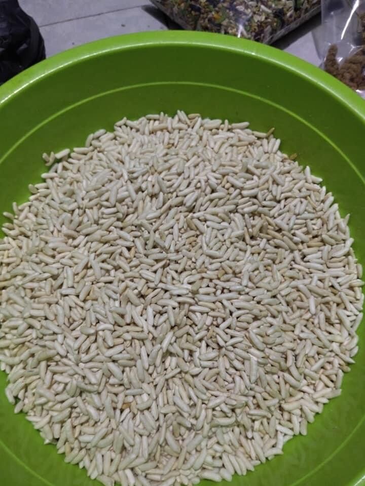 Cốm gạo hamster