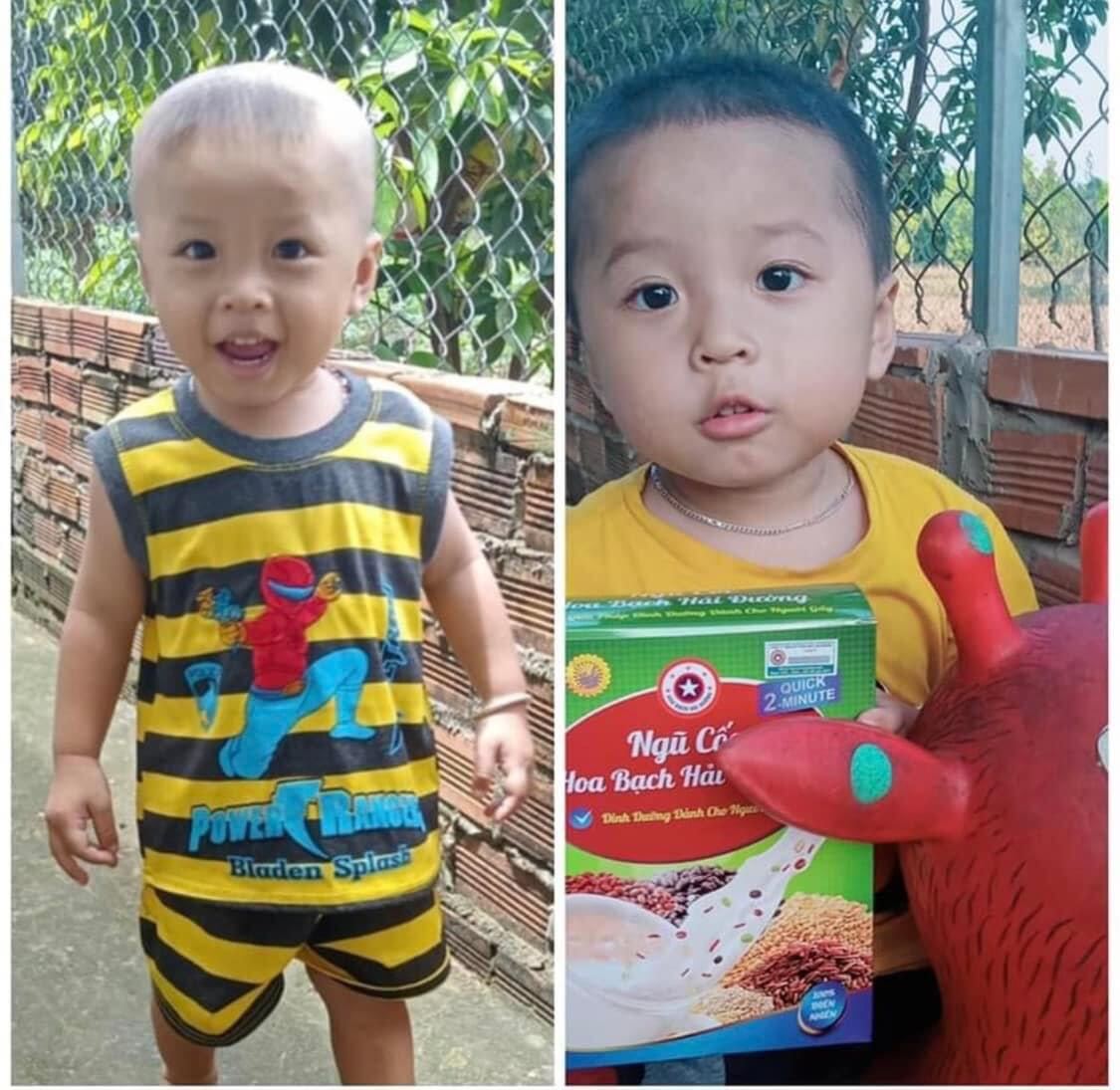 Combo 2 hộp ngũ cốc hoa bạch hải đường