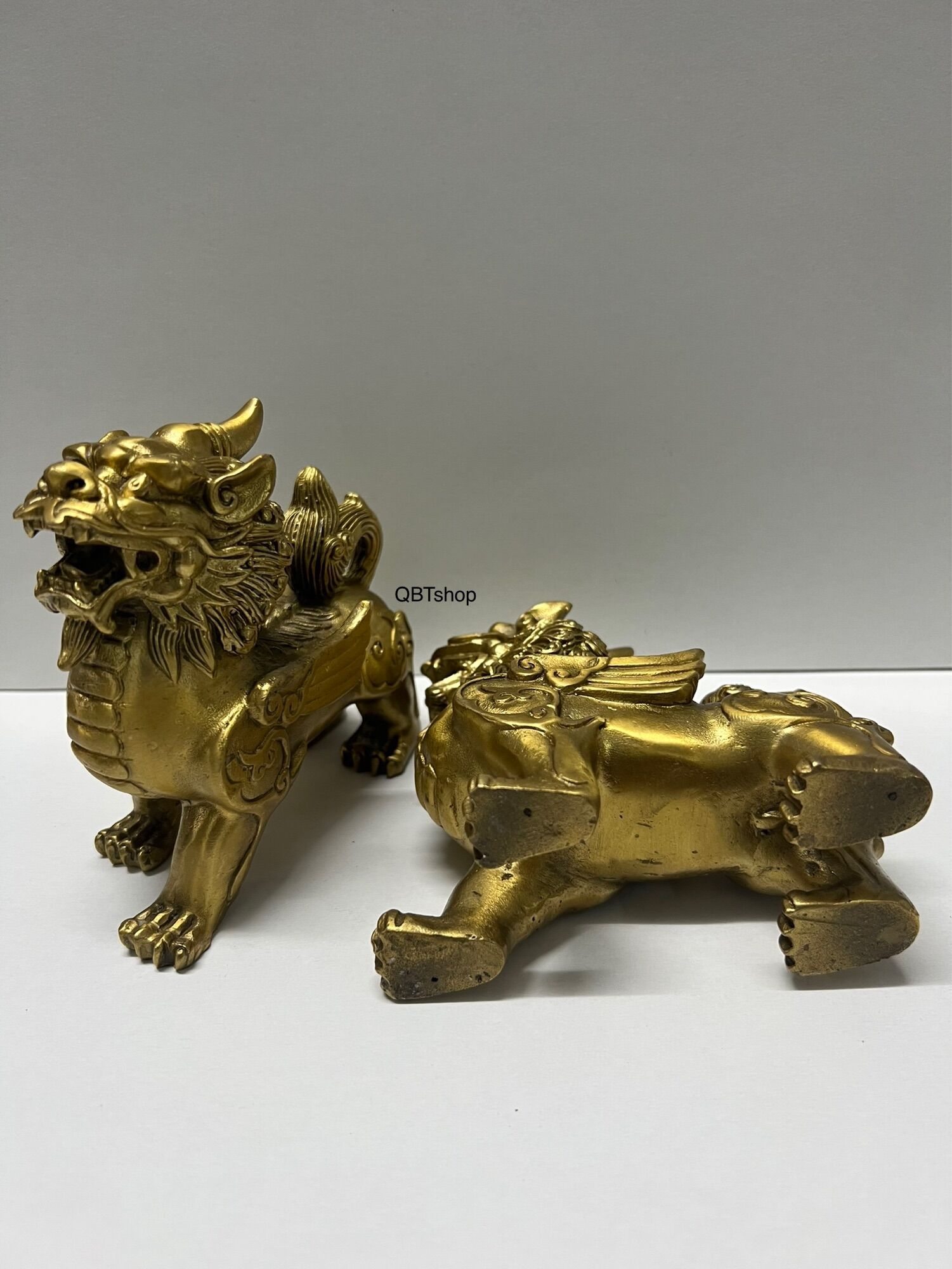Cặp tỳ hưu đồng