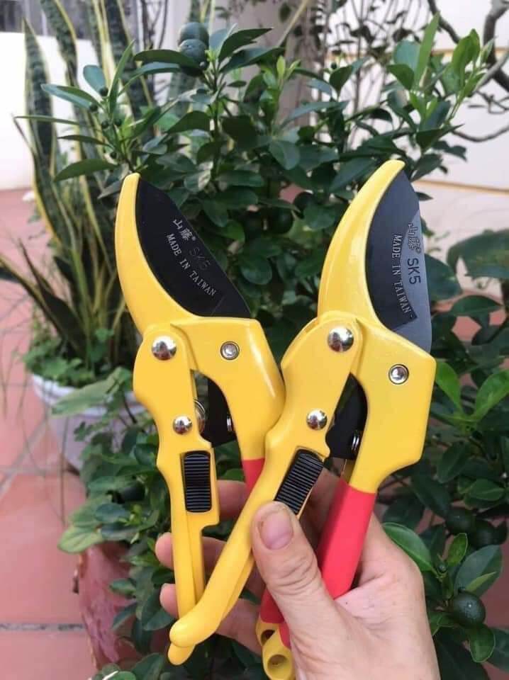 kéo cắt cành cộng lực