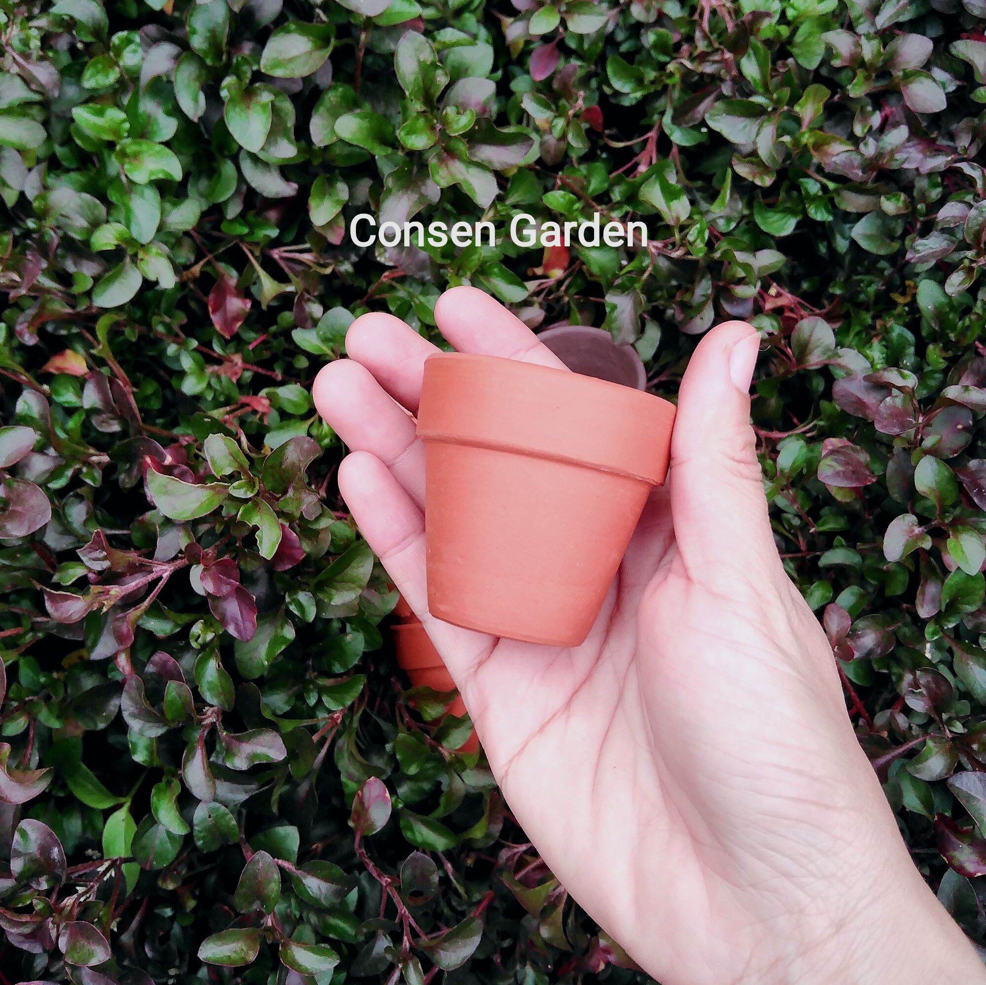 Chậu Đất Nung Mini 5x5 Cm, Chậu Trồng Sen Đá, XR