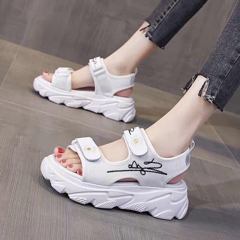 Dép đầy đủ size